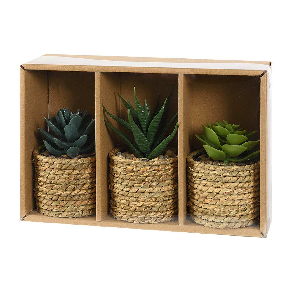 Ensemble de 3 plantes artificielles succulentes ASTELLA