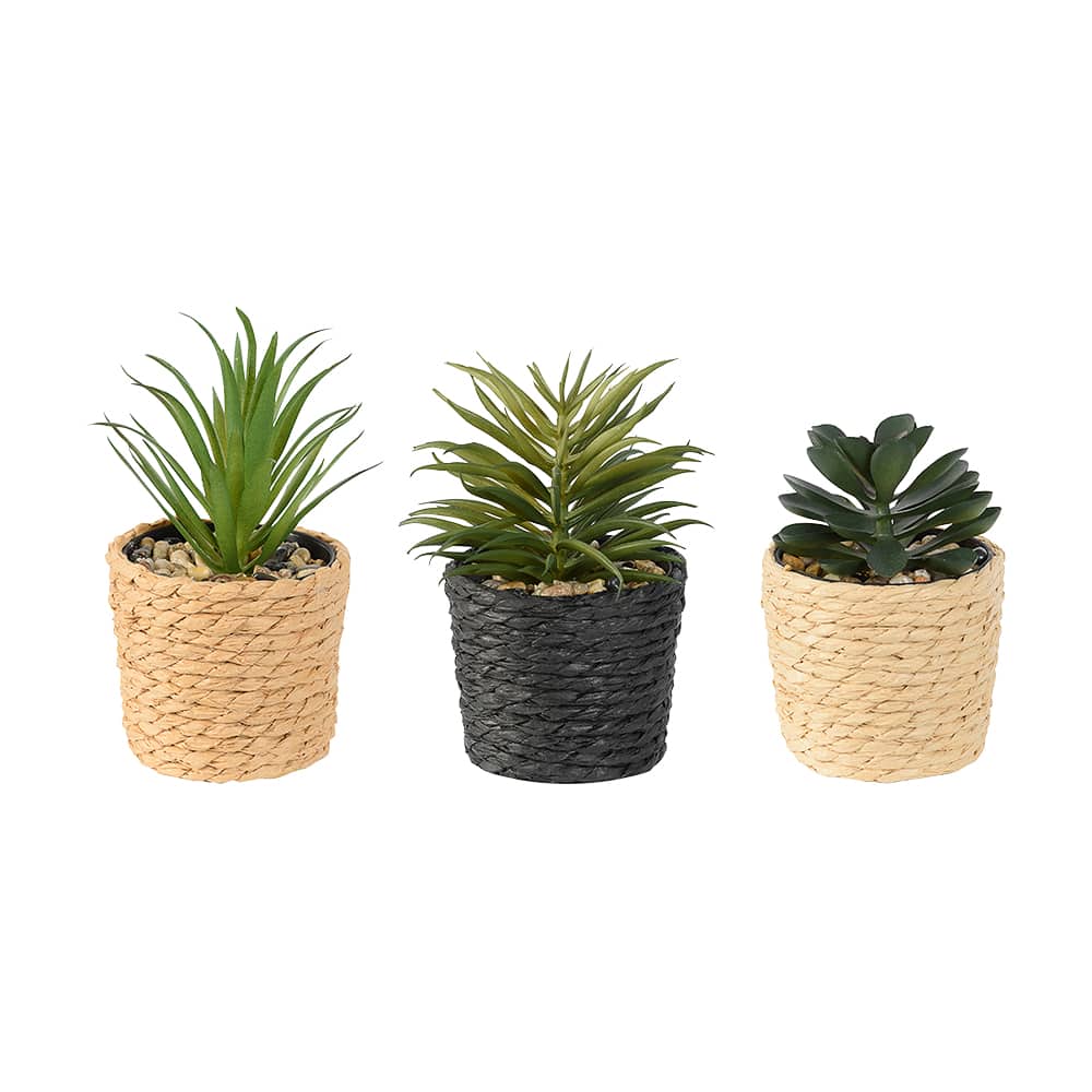 Ensemble de 3 plantes artificielles ASTELLA