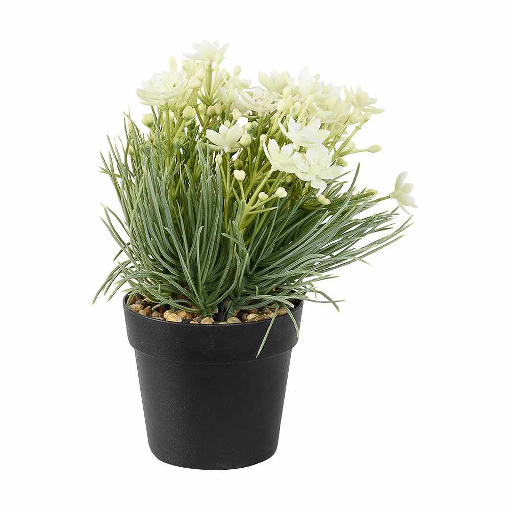 Plante artificielle fleurs blanches avec pot noir ASTELLA