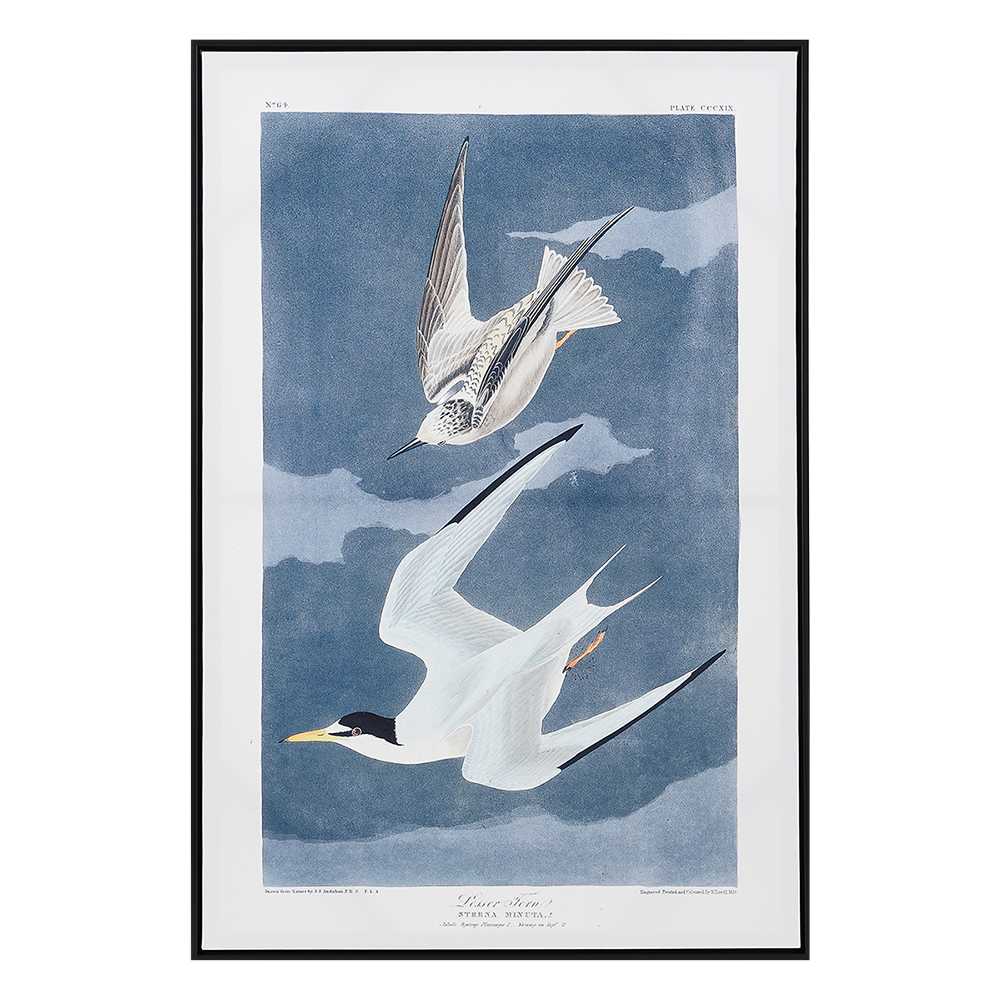 Reproduction sur toile oiseaux marins 36 po x 24 po ASTELLA