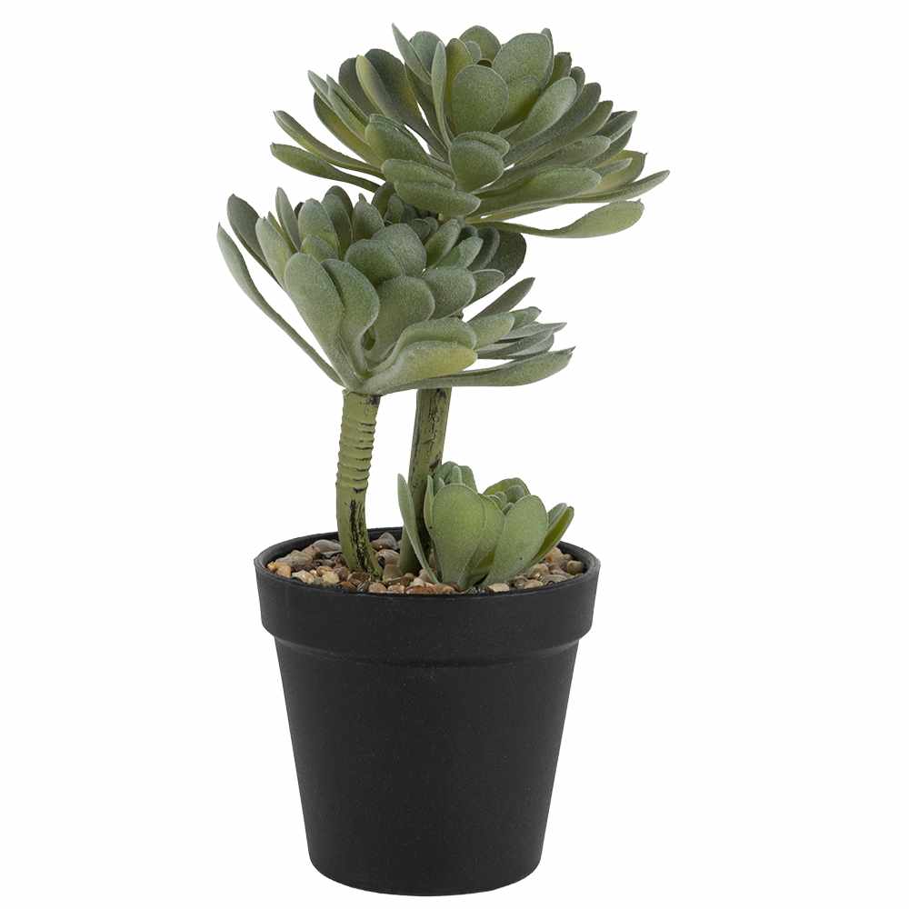 Plante artificielle succulente en pot ASTELLA