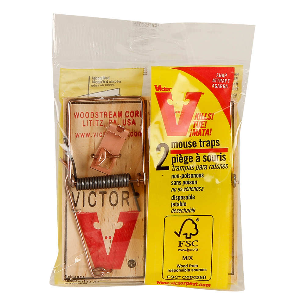 Trappes à souris Pqt/2