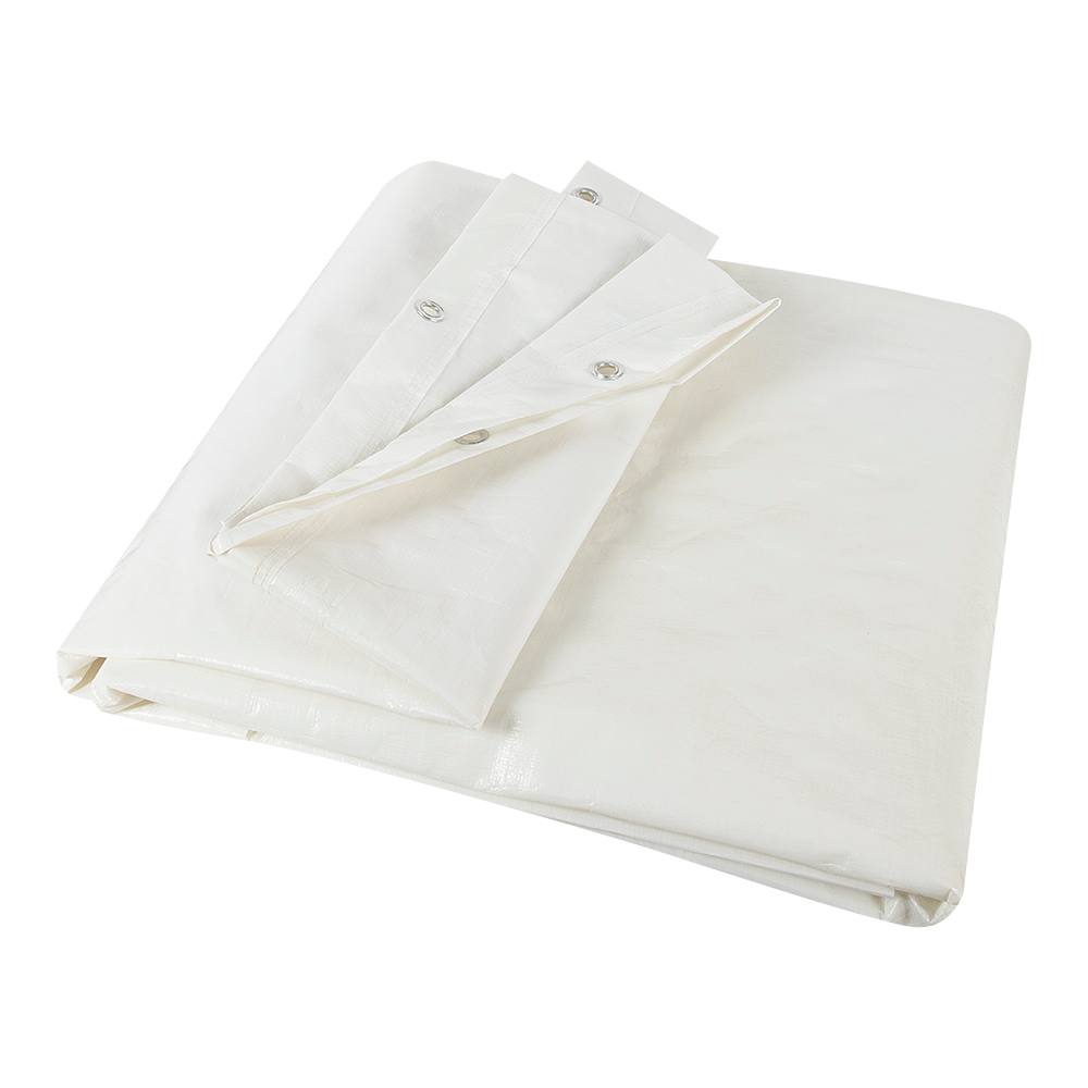 Porte de remplacement pour abri d'auto 12&nbsp;pi