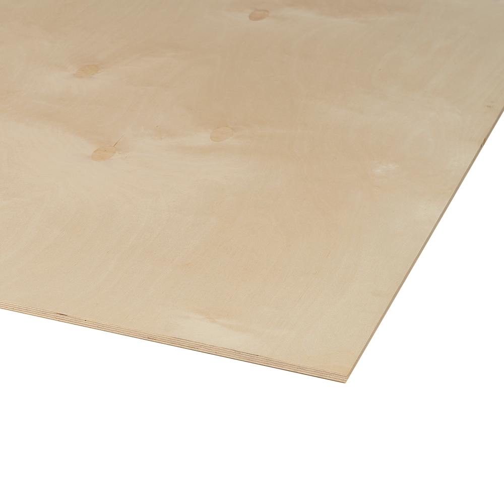 Birch Multi-Layer Plywood 1/2 in.&nbsp;x&nbsp;2&nbsp;ft.&nbsp;x&nbsp;4&nbsp;ft.