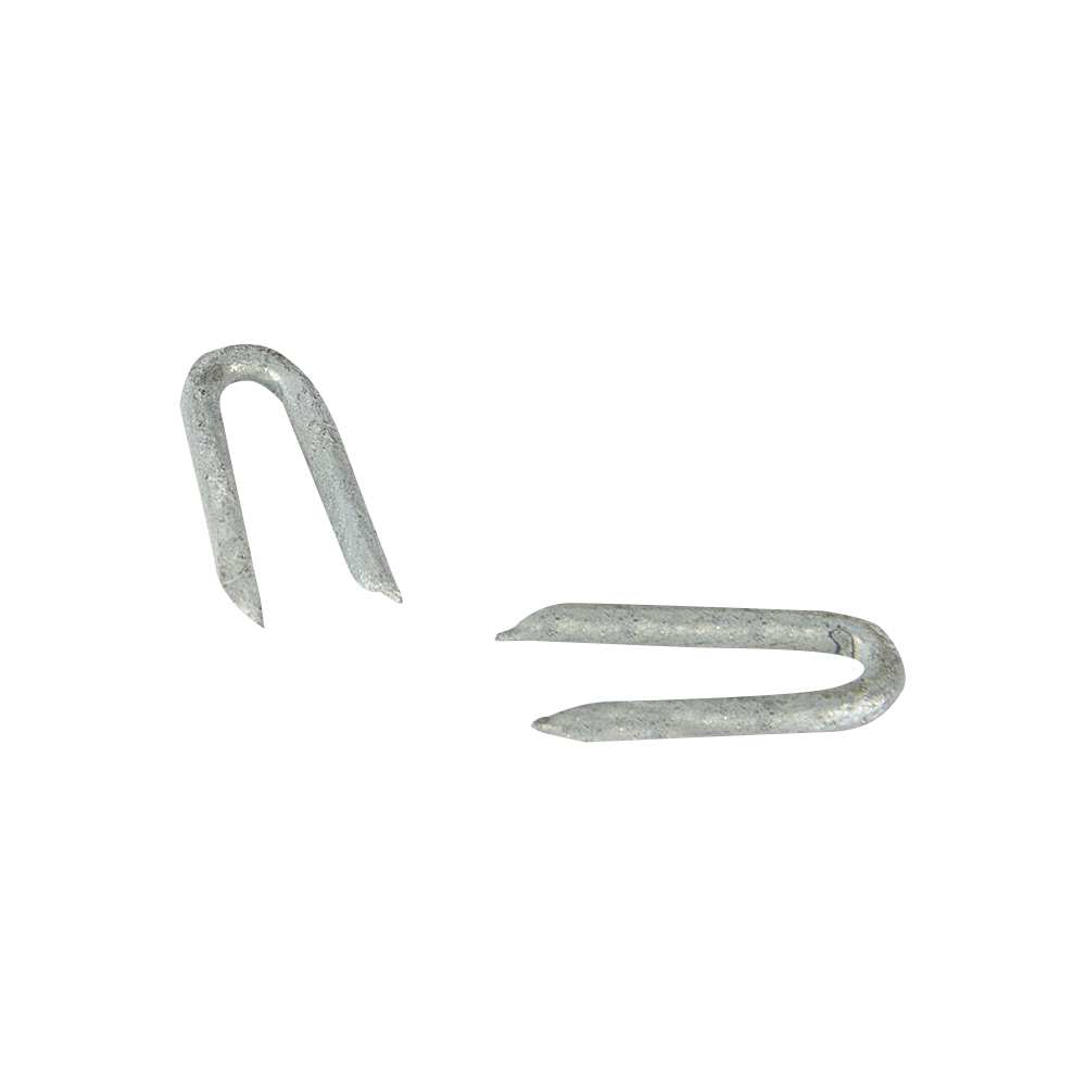 Crampes 1 1/4 po Pqt/60