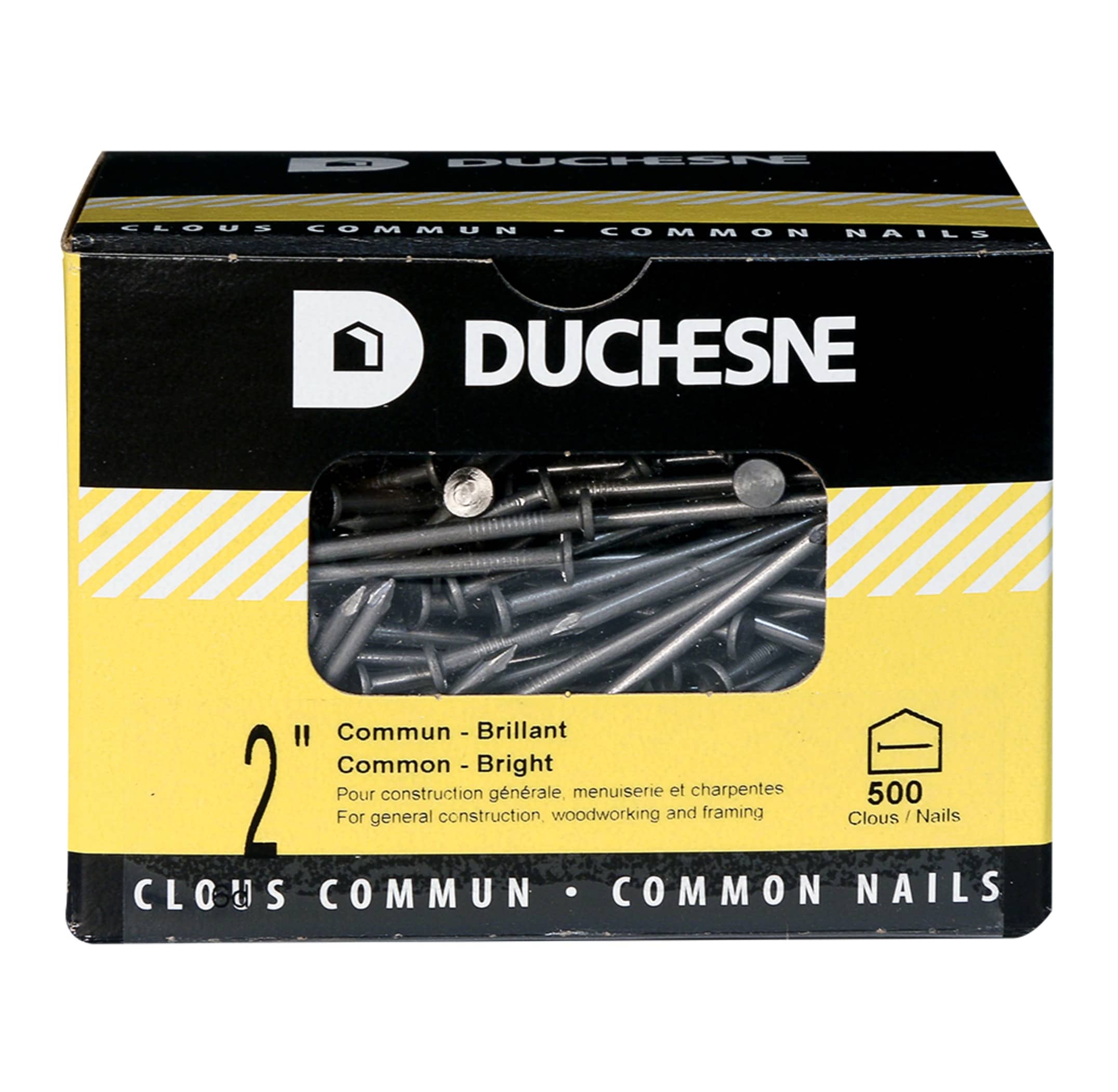 Clous communs brillants 2 po Pqt/500