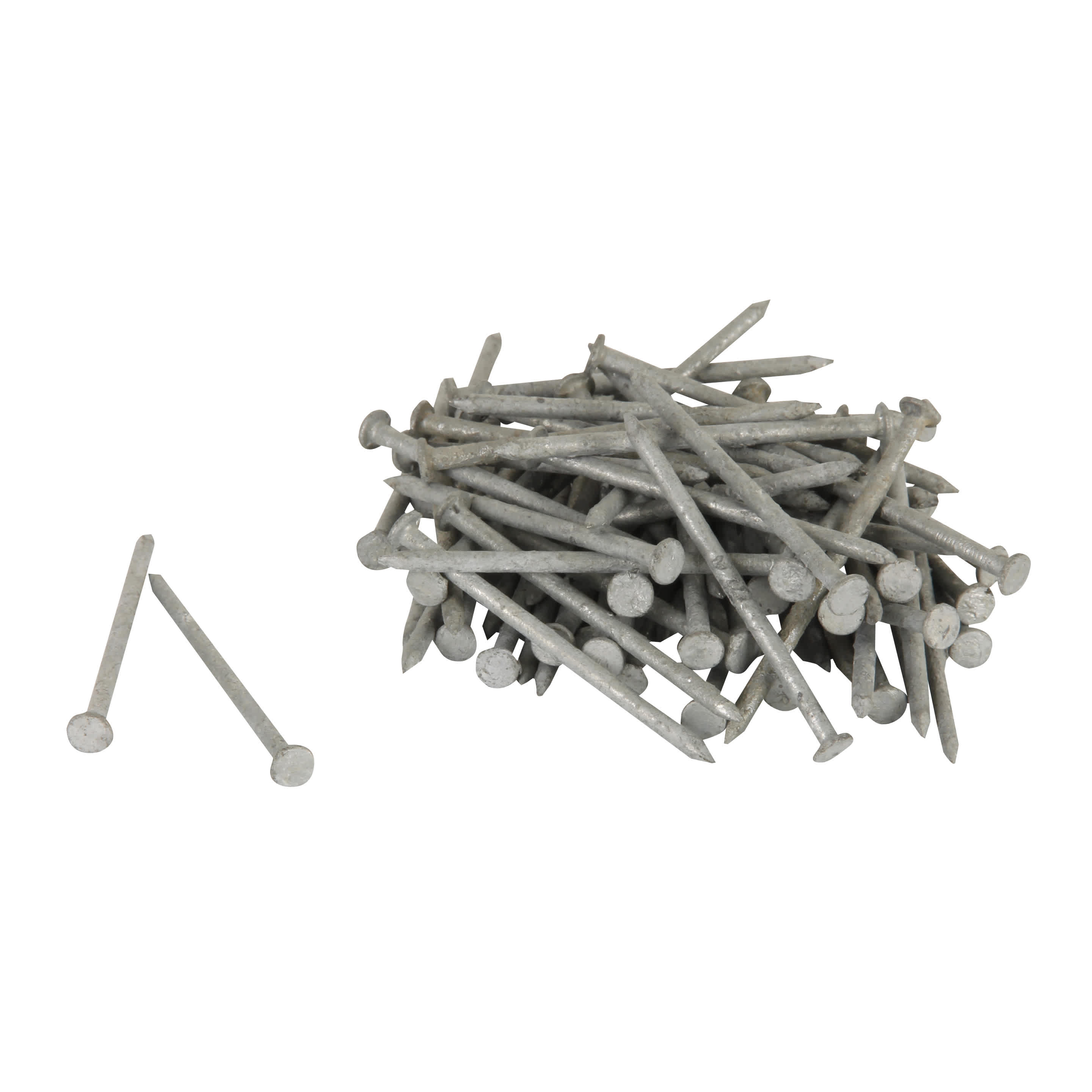 Hot Galvanized Common Nails - 1-1/2 in. Format: Mini