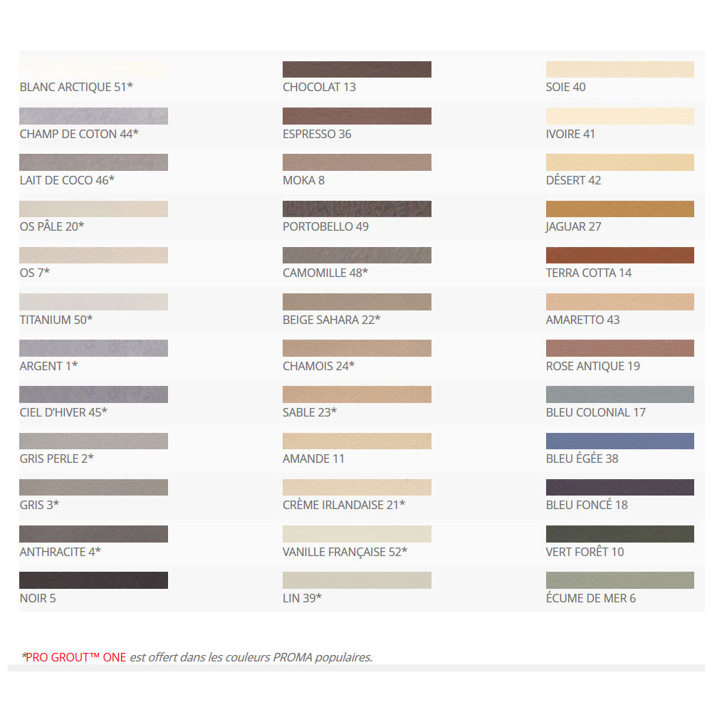 Coulis prêt à l'emploi Pro Grout ONE argent 1,89 L