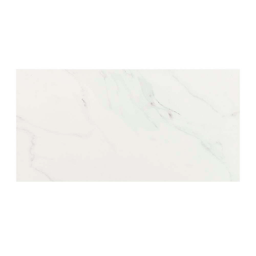 Naos Porcelain Tiles Glossy Finish 12&nbsp;in.&nbsp;x&nbsp;24&nbsp;in. Gloss