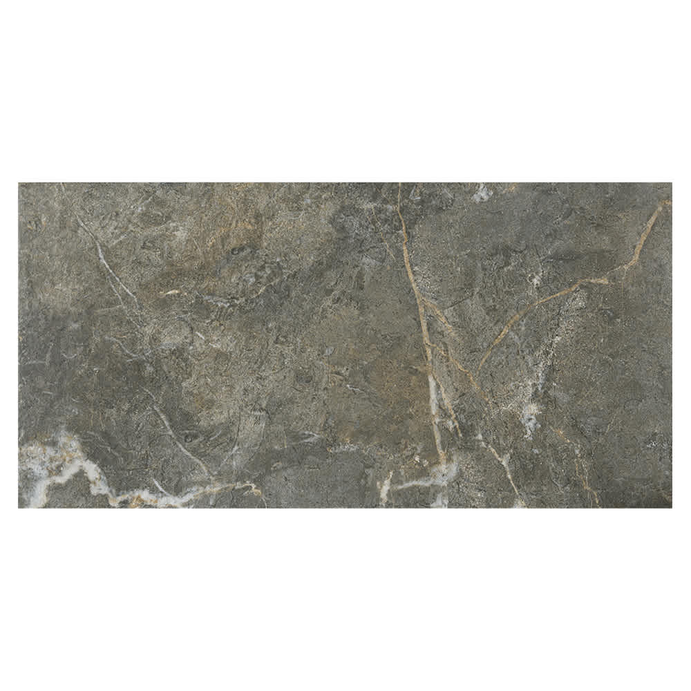 Essence Anaya Silver Porcelain Tiles 12&nbsp;in.&nbsp;x&nbsp;24&nbsp;in.