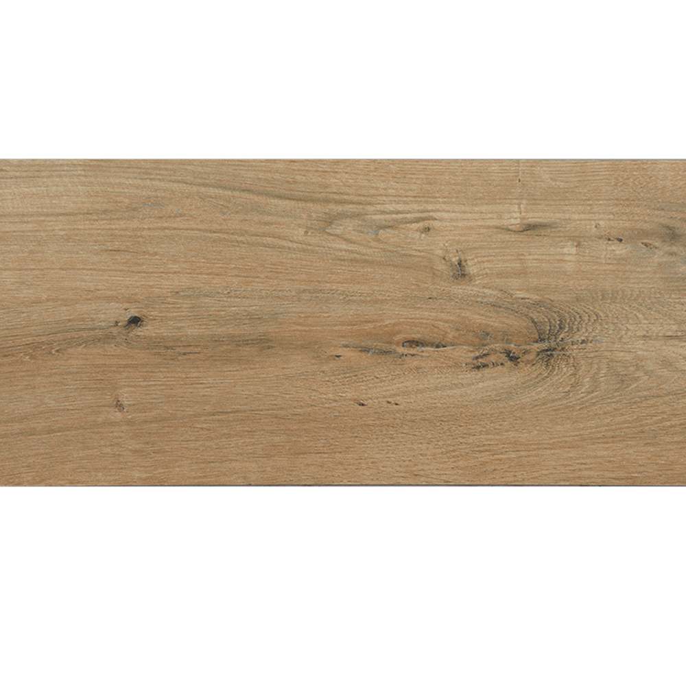 Carreaux de porcelaine rectifiés Everglade Forest 8&nbsp;po&nbsp;x&nbsp;48&nbsp;po