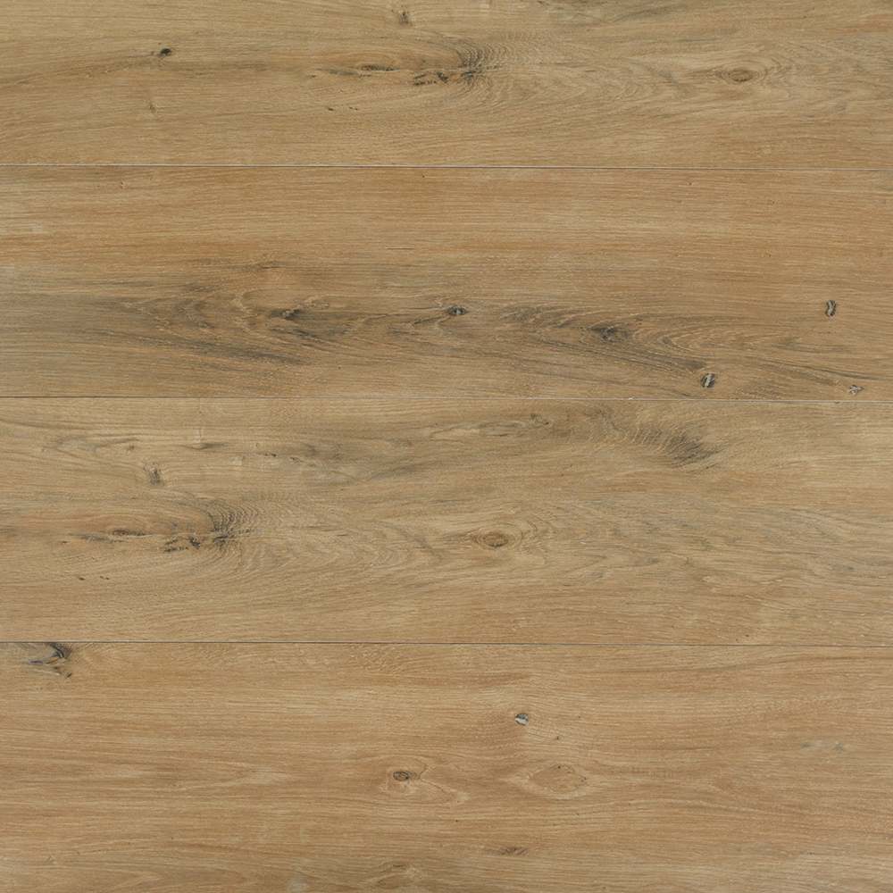 Carreaux de porcelaine rectifiés Everglade Forest 8&nbsp;po&nbsp;x&nbsp;48&nbsp;po