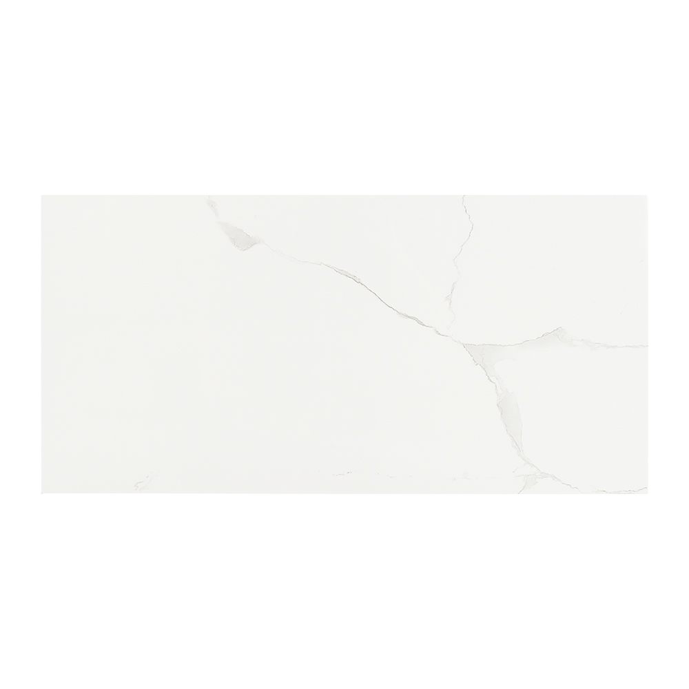 Carreaux de porcelaine rectifiés Alpine Carrara 12&nbsp;po&nbsp;x&nbsp;24&nbsp;po