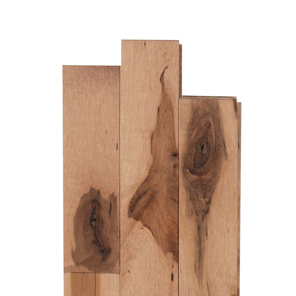 Maple Hardwood Flooring 3&nbsp;1/4&nbsp;in Raphia