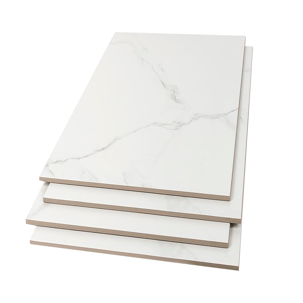 Carreaux de porcelaine Naos fini mat 12&nbsp;po&nbsp;x&nbsp;24&nbsp;po