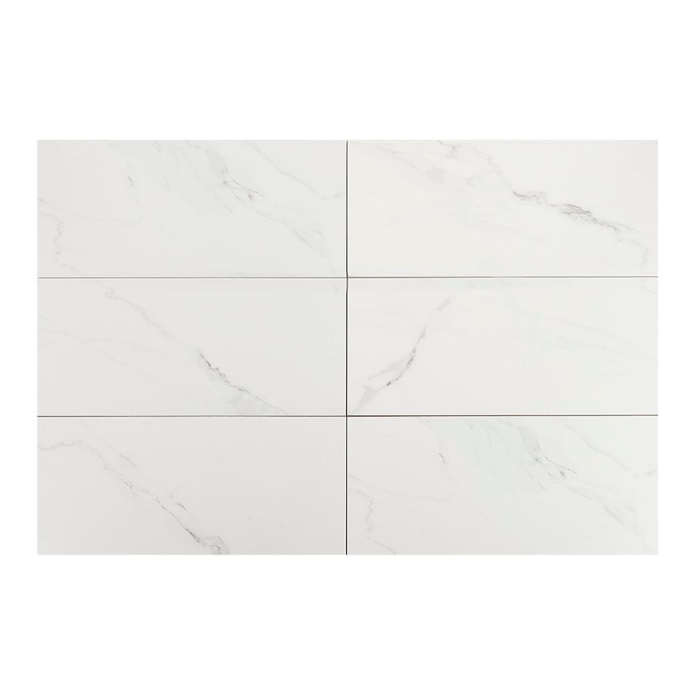 Carreaux de porcelaine Naos fini mat 12&nbsp;po&nbsp;x&nbsp;24&nbsp;po