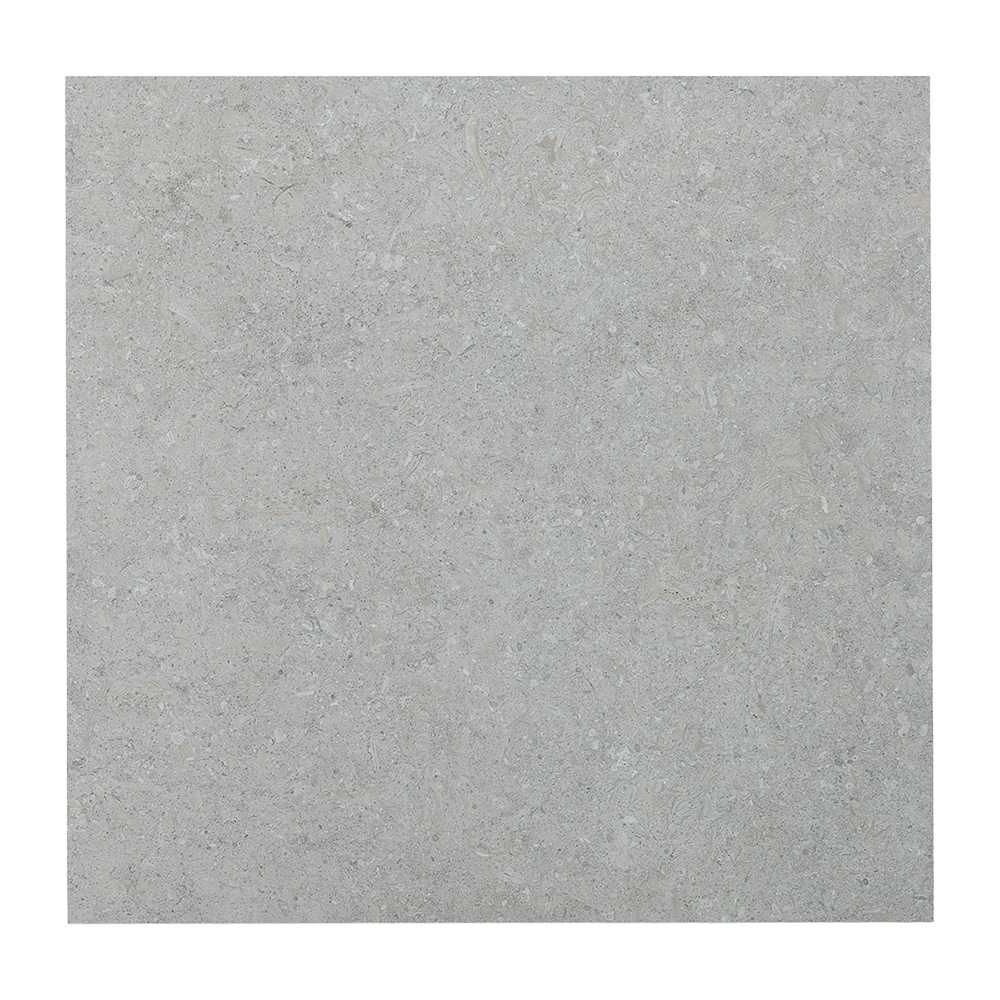 Carreaux de porcelaine rectifiés Fossile 24&nbsp;po x 24&nbsp;po