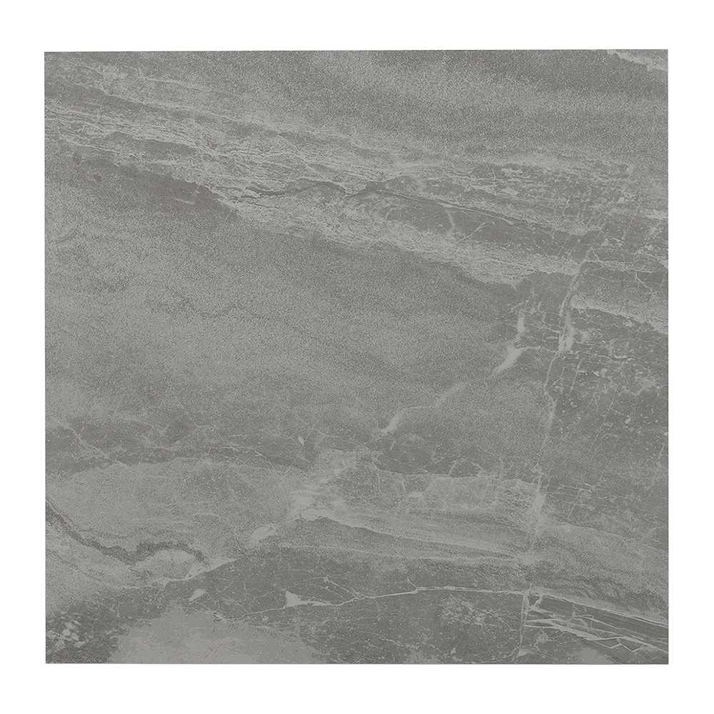 Carreaux de porcelaine Zeus mat 24 po x 24 po