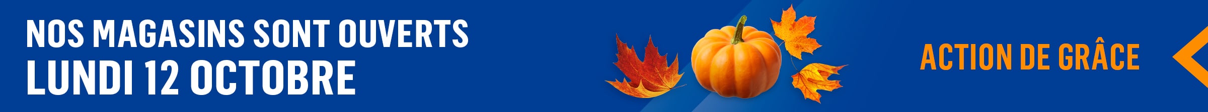 41 résultats pour hott