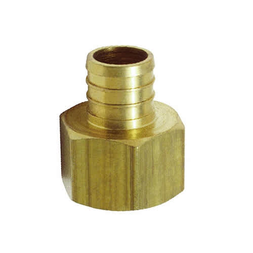 Raccord PEX 1/2 po x 1/2 po F fileté