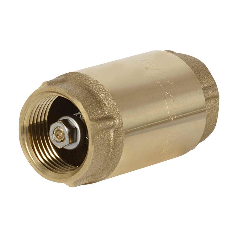 Well Jet Pump Check Valve 1 in.