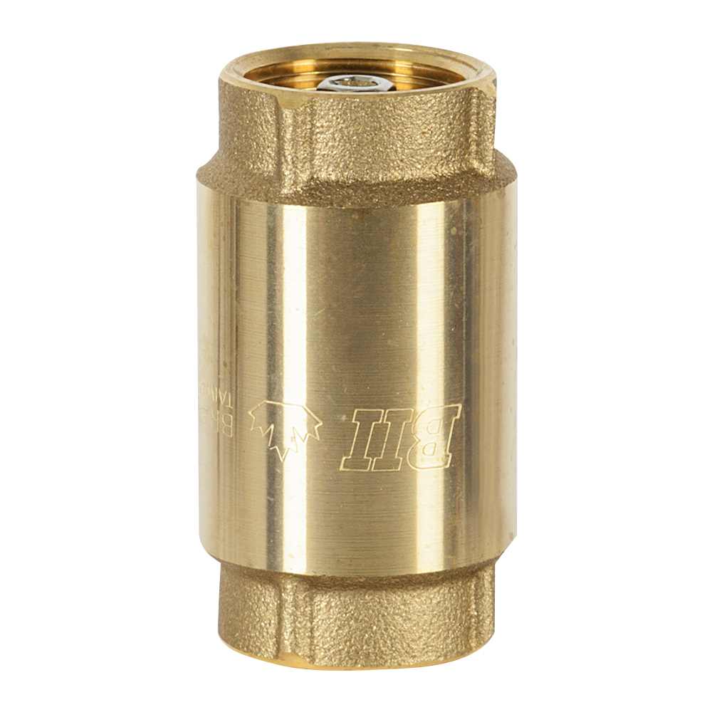 Clapet antiretour pour pompe à jet pour puits 1 po