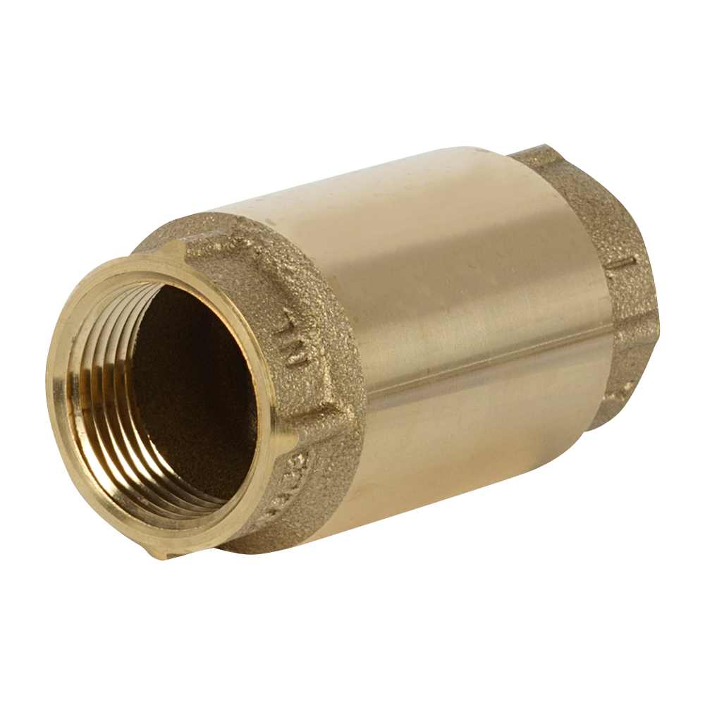 Clapet antiretour pour pompe à jet pour puits 1 po