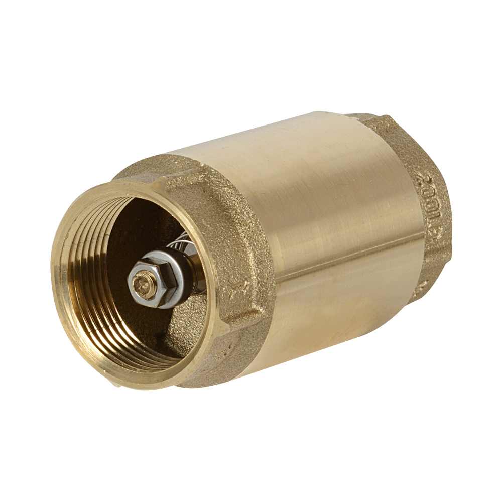 Well Jet Pump Check Valve 1 1/4 in.