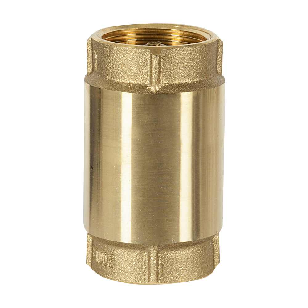 Clapet antiretour pour pompe à jet pour puits 1 1/4 po