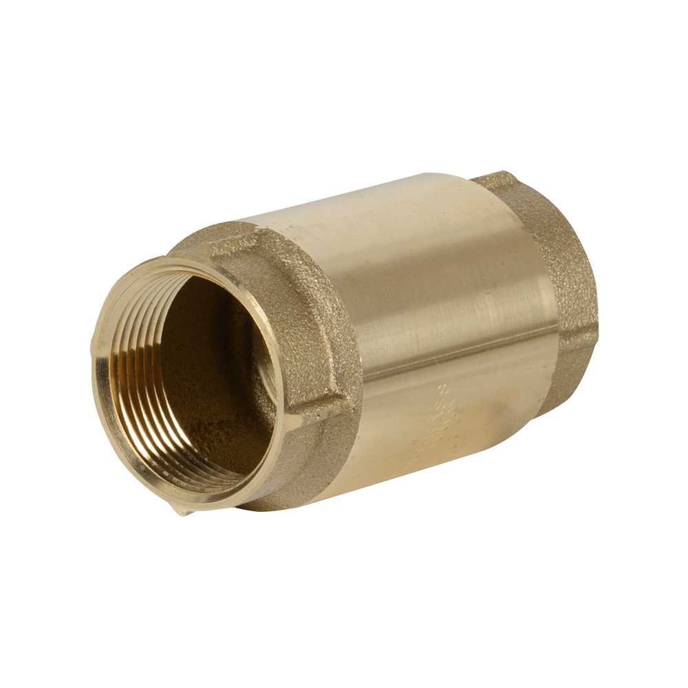 Clapet antiretour pour pompe à jet pour puits 1 1/4 po