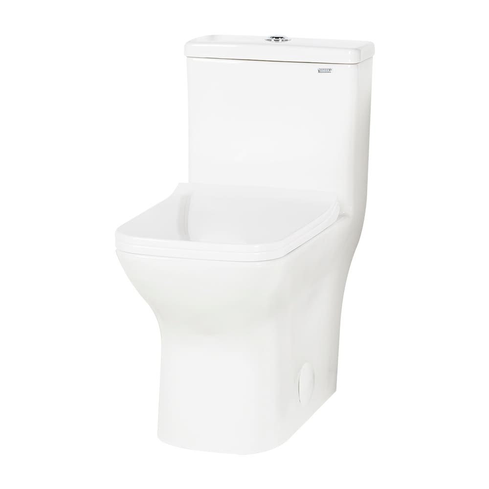 Toilette monobloc à double chasse blanche Paloma 4 L/6 L TASSILI SUPRA