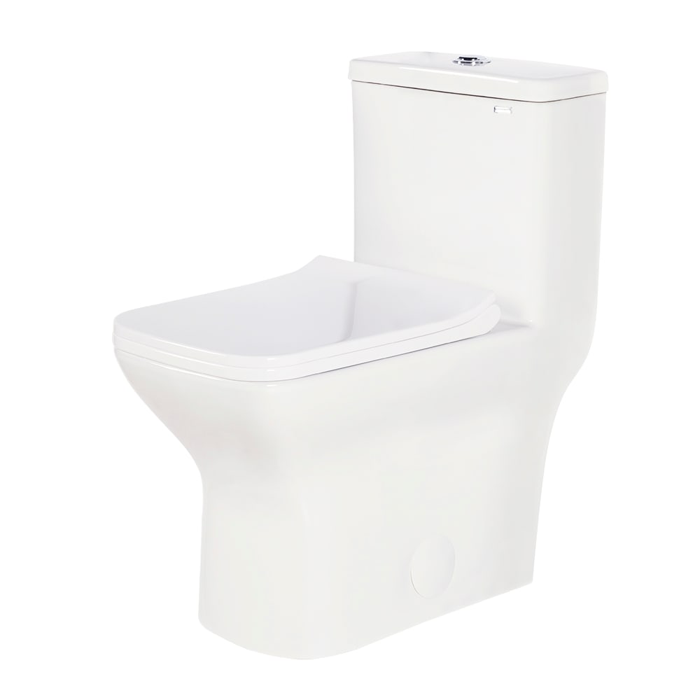 Toilette monobloc à double chasse blanche Paloma 4 L/6 L TASSILI SUPRA