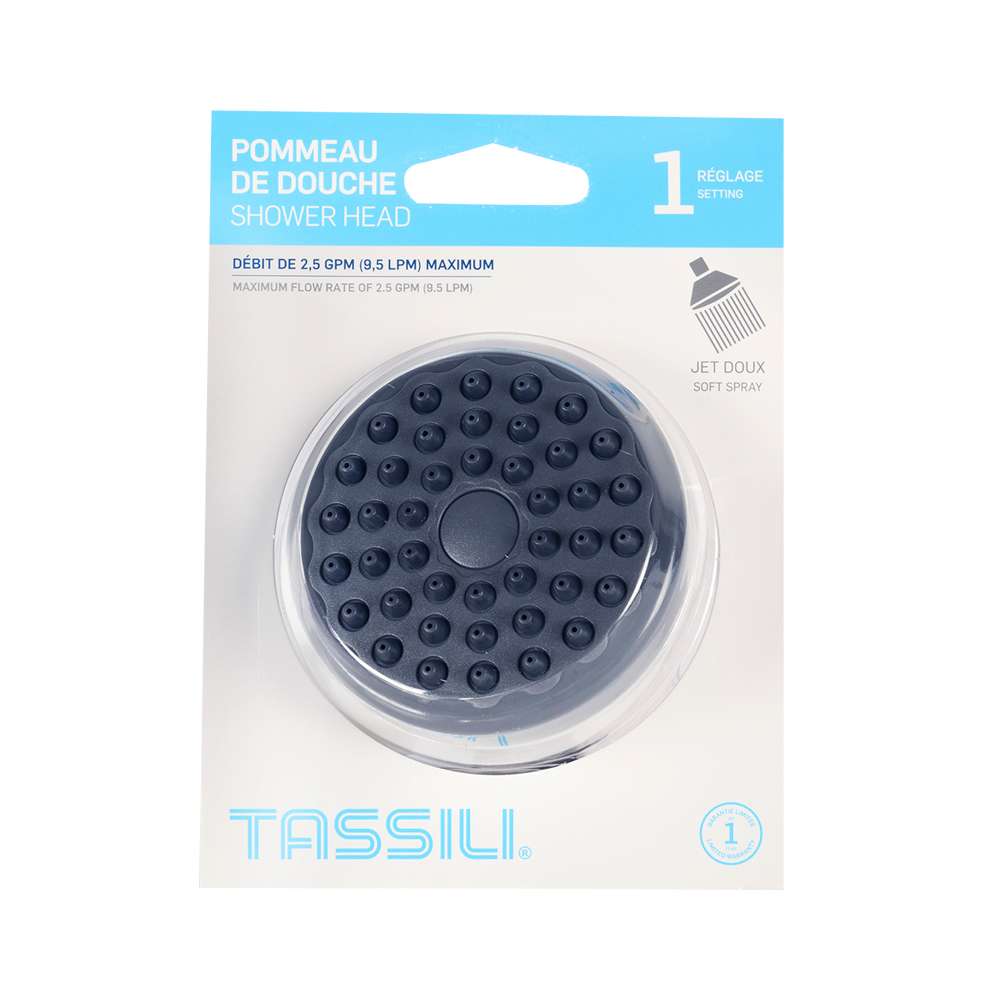 Pommeau de douche 1 réglage chrome TASSILI