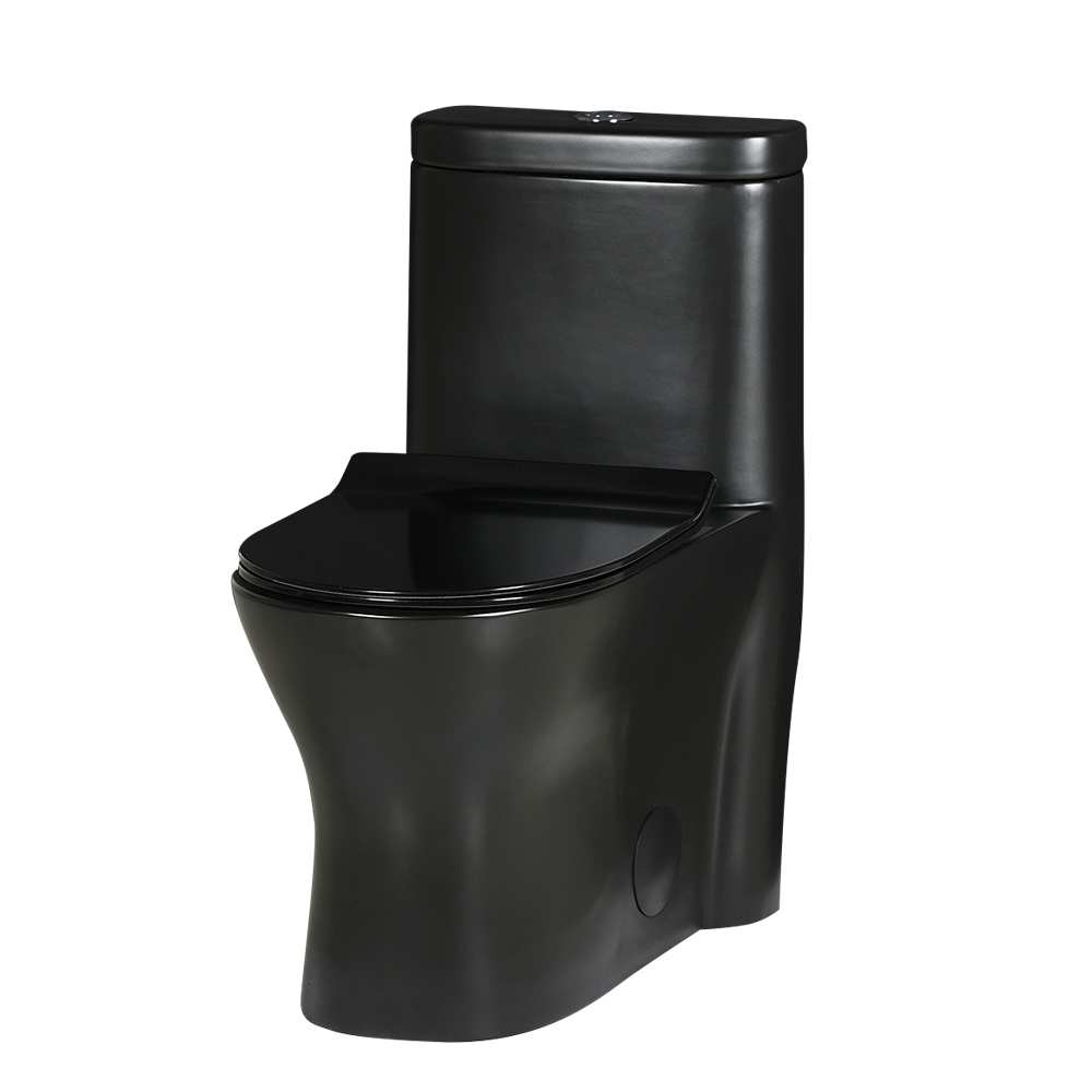 Toilette monobloc à double chasse noire Restigouche 4 L/6 L