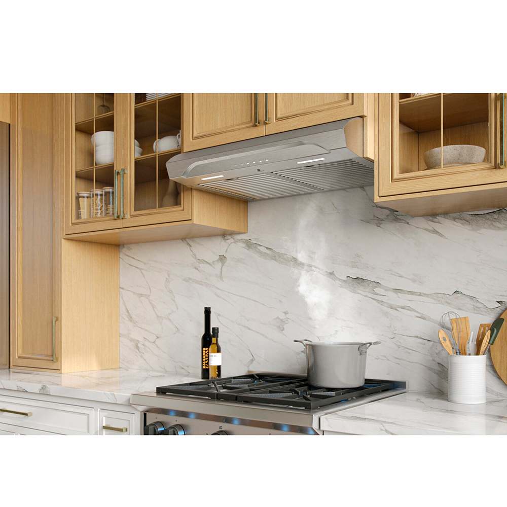 Hotte de cuisine Alta 4306SS 30 po acier inoxydable 640&nbsp;pi³/min