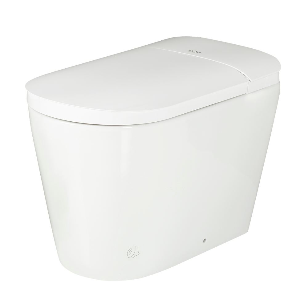 Toilette intelligente et bidet monobloc à double chasse 4&nbsp;L/6&nbsp;L blanc