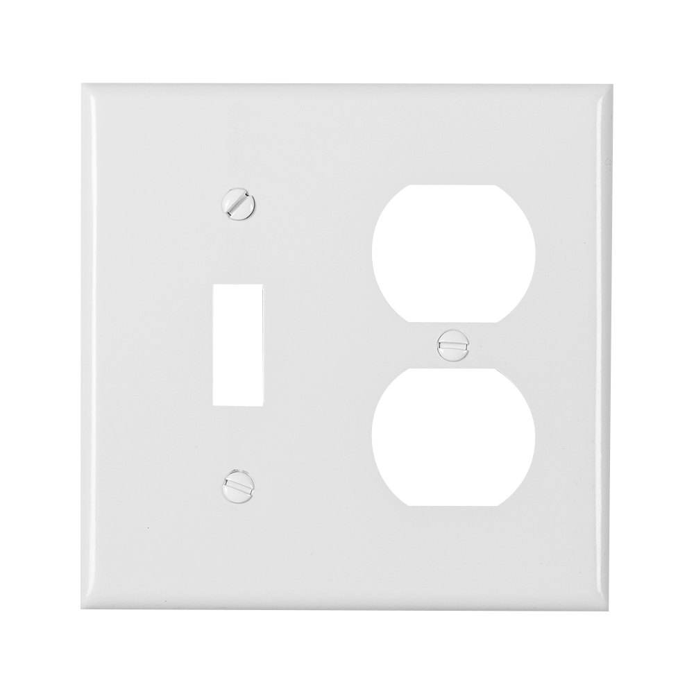 Combination Plate Switch/Socket