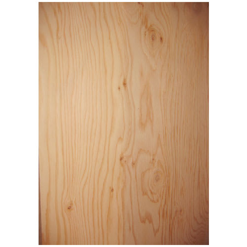 Contreplaqué B.C. Fir sélect 3/8&nbsp;po&nbsp;x&nbsp;4&nbsp;pi&nbsp;x&nbsp;8&nbsp;pi