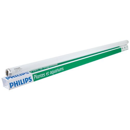 Tube fluorescent T12, 40 W pour serre et aquarium 48 po
