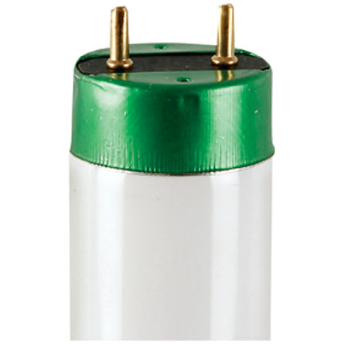 T8, 32 W Daylight Fluorescent Tubes 48 in. Pkg/2