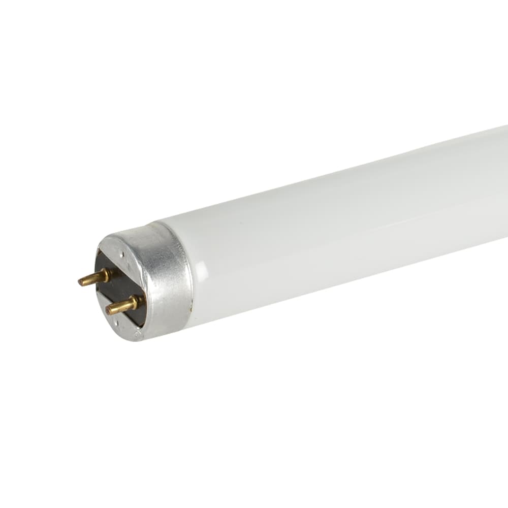 T8, 25 W Cool White Fluorescent Tube 36 in.