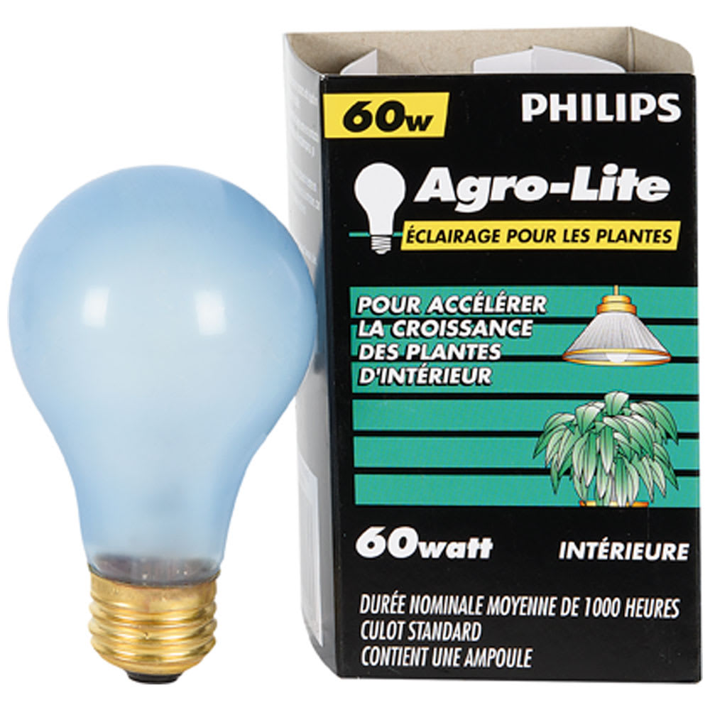 Ampoule incandescente pour plantes 60 W