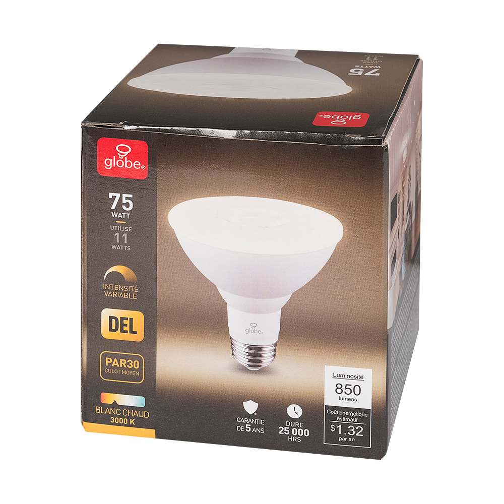 Ampoule-réflecteur DEL PAR30, 11 W