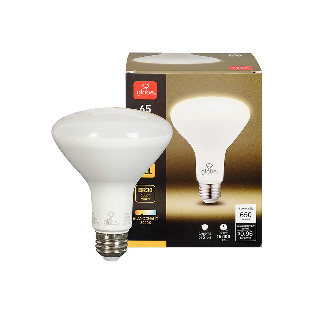 Ampoule DEL BR30 blanc chaud 8 W