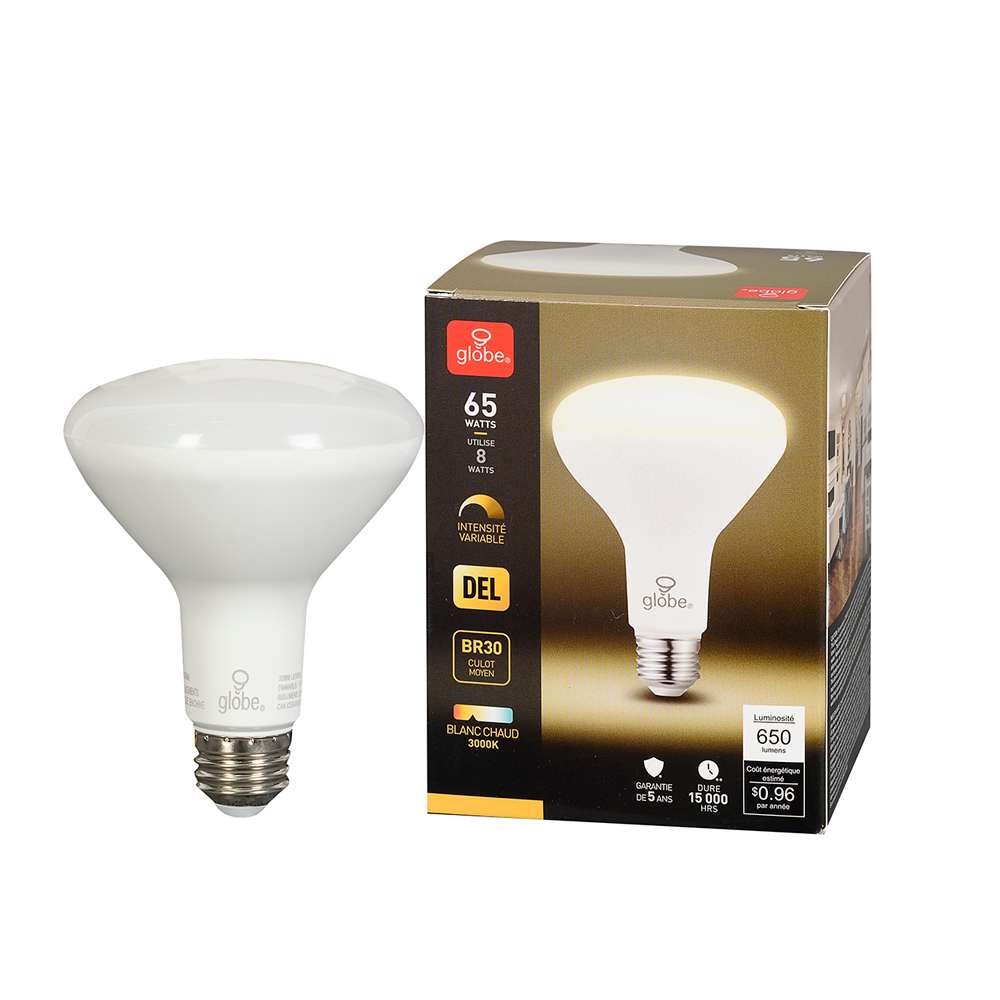 Ampoule DEL BR30 à culot moyen blanc chaud 8 W