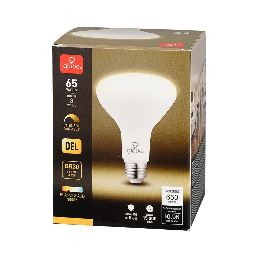 BR30 LED Light Bulb Warm White 8 W