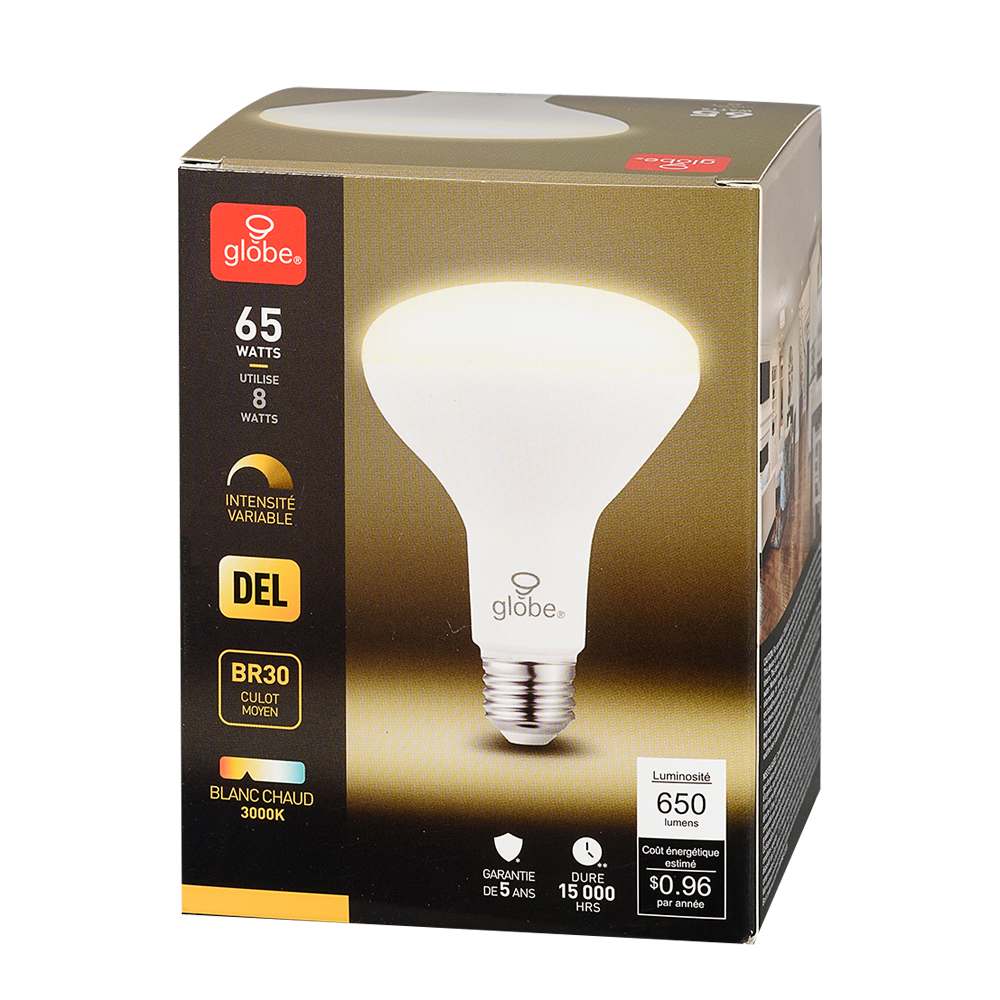 Ampoule DEL BR30 à culot moyen blanc chaud 8 W