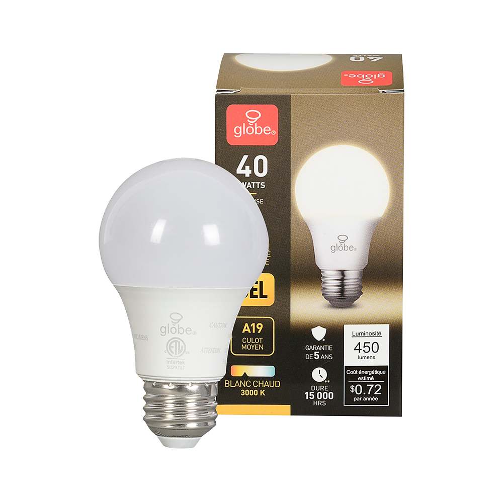 Ampoule DEL A19 blanc chaud 6 W