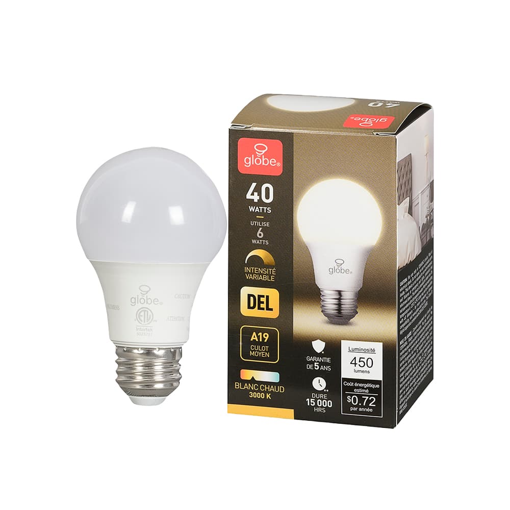 A19 Medium Base Warm White LED Light Bulb 6 W