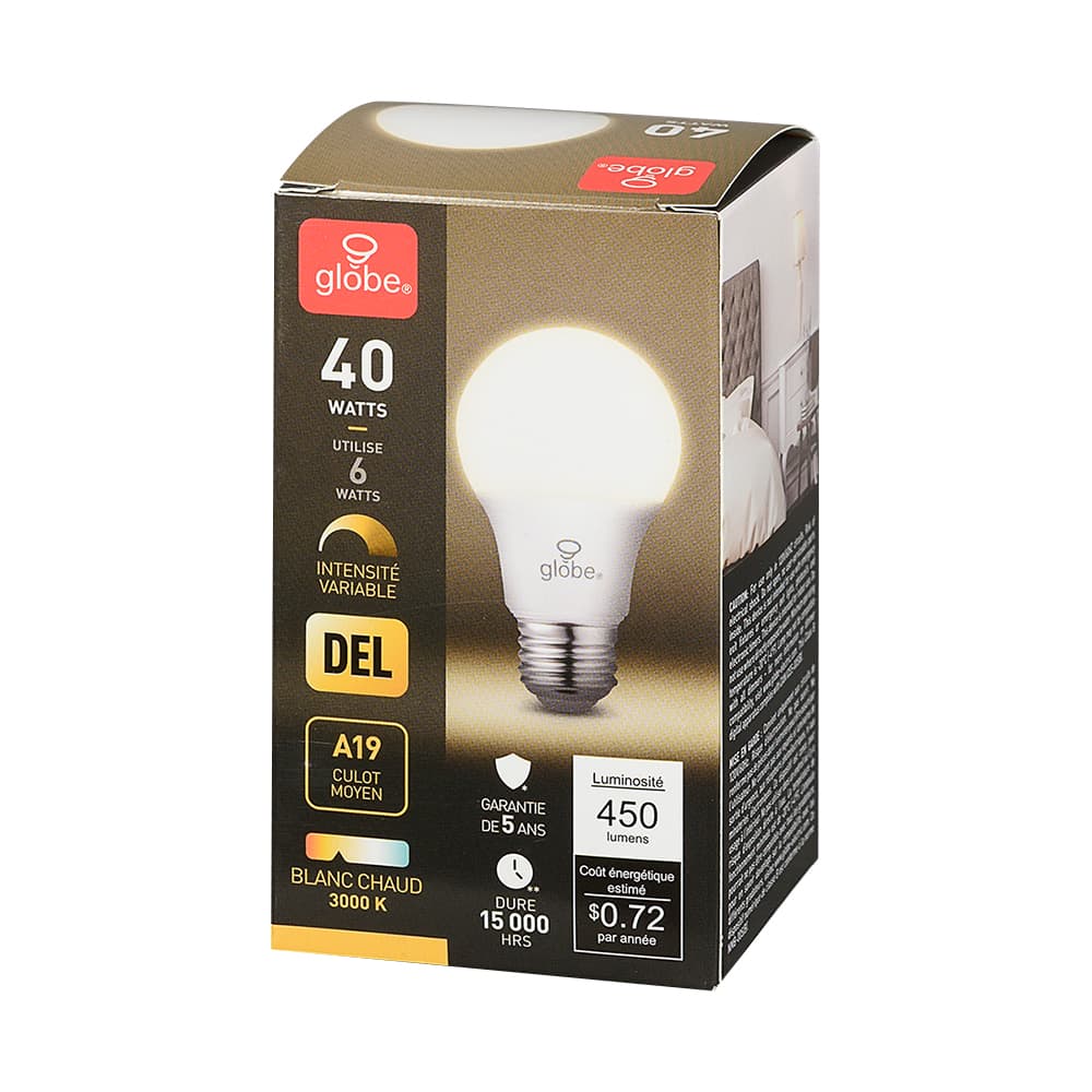 Ampoule DEL A19 blanc chaud 6 W